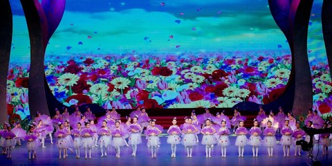 心中的馬蘭花 開啦 昕宇藝術培訓中心綻放2017全區(qū)六一文藝晚會